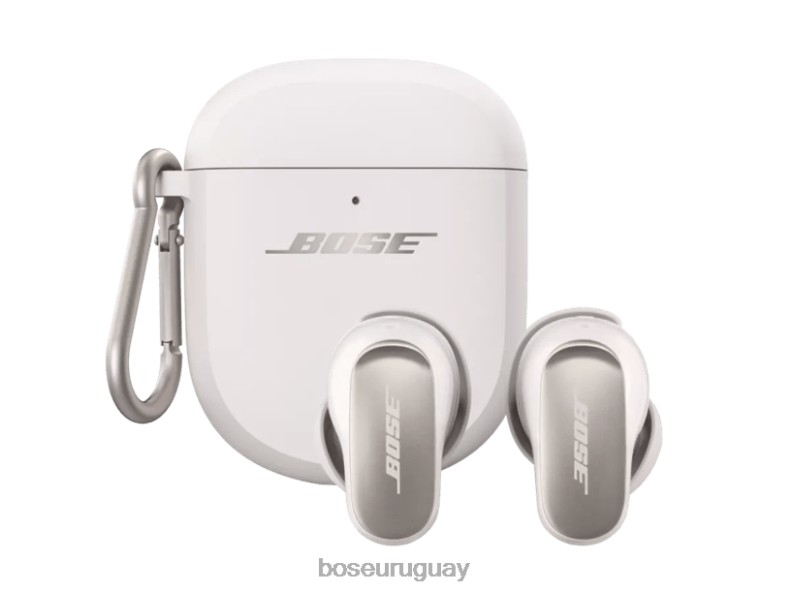 accesorios| Bose cubierta del estuche de carga inalámbrica Z444L65 humo blanco
